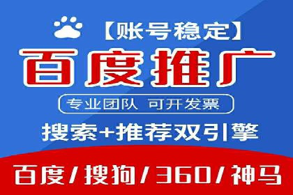 成功SEM竞价托管案例分析报告